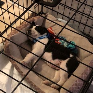 Meet your Posher, Kevin